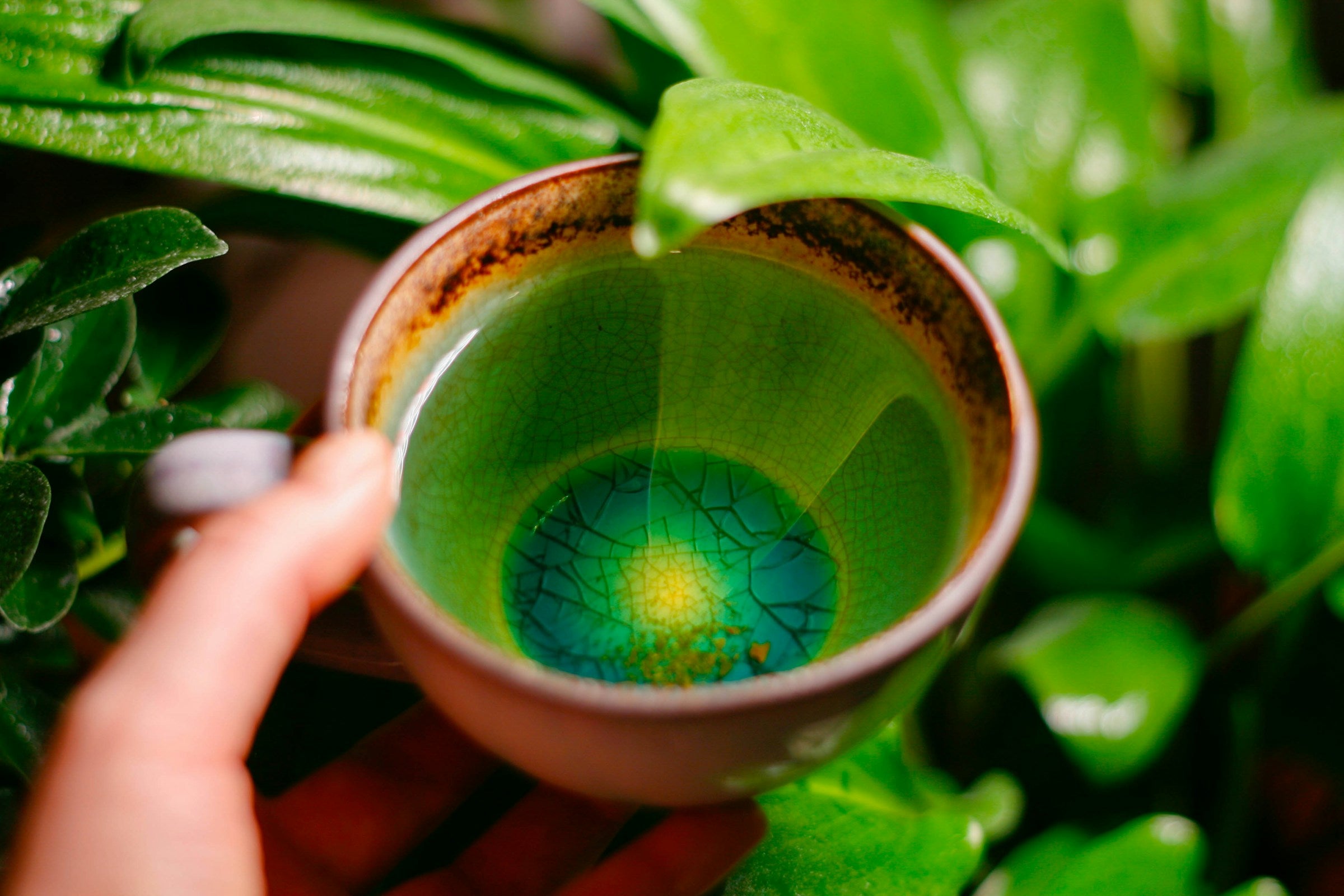 Leaflins Tea - Premium Green Tea in Canada