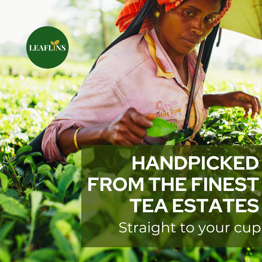 Leaflins Tea Discovery Box